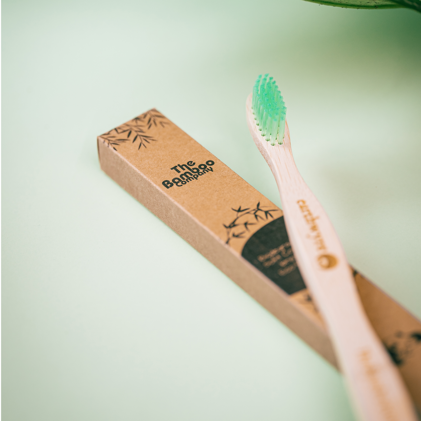 BAMBOO TOOTHBRUSH